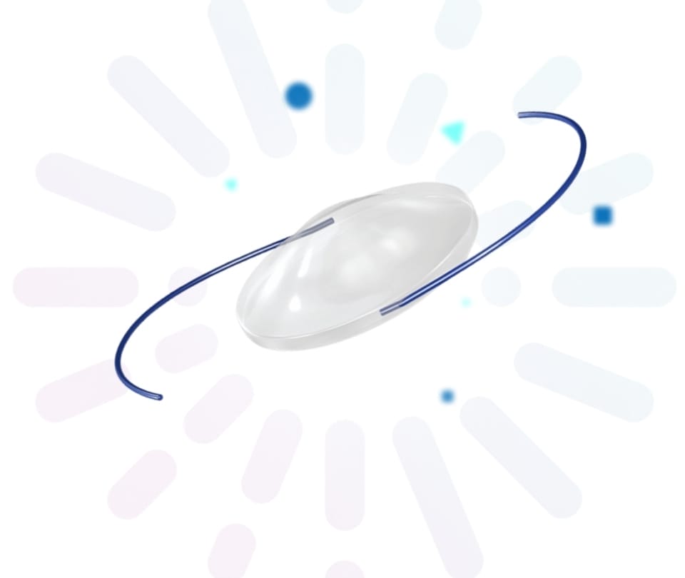 Benefits of Choosing the LAL