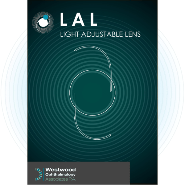 Light adjustable lens 1